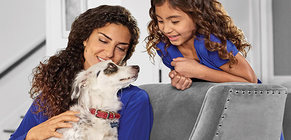 Nestlé Purina to invest CHF 310 million in new U.S. pet food factory