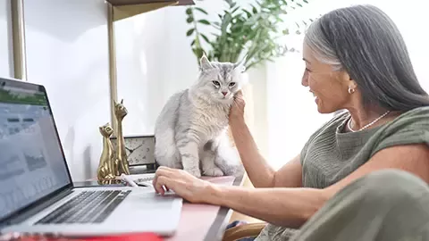 Feeding dog with Purina