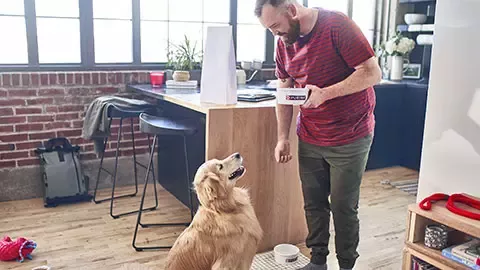 Feeding dog with Purina
